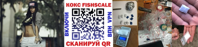 дарнет шоп  mega как зайти  COCAIN Fish Scale  Шимановск 