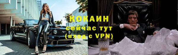 эйфоретик Арсеньев