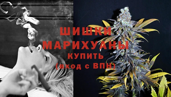 не бодяженный Гусев