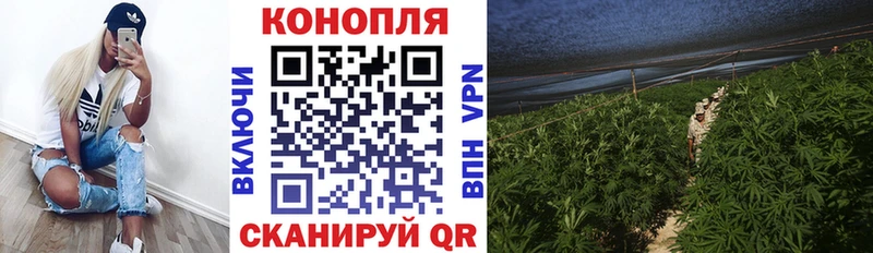купить   дарк нет как зайти  KRAKEN ссылки  Шишки марихуана Bruce Banner  Шимановск 
